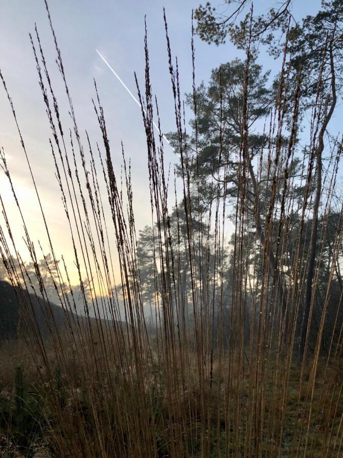 Het Natuurhuisje Op De Veluwe Nunspeet Luaran gambar
