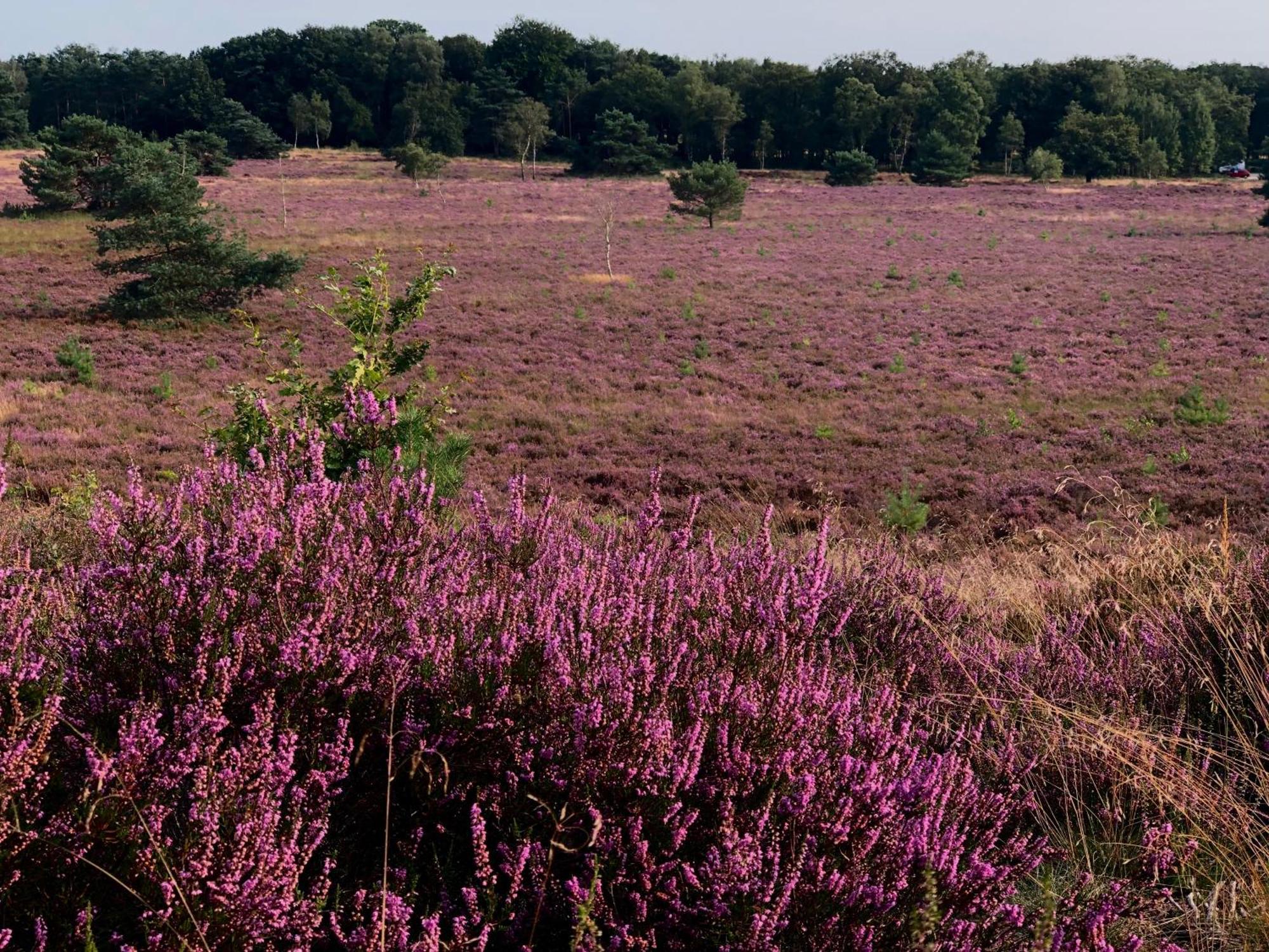 Het Natuurhuisje Op De Veluwe Nunspeet Luaran gambar