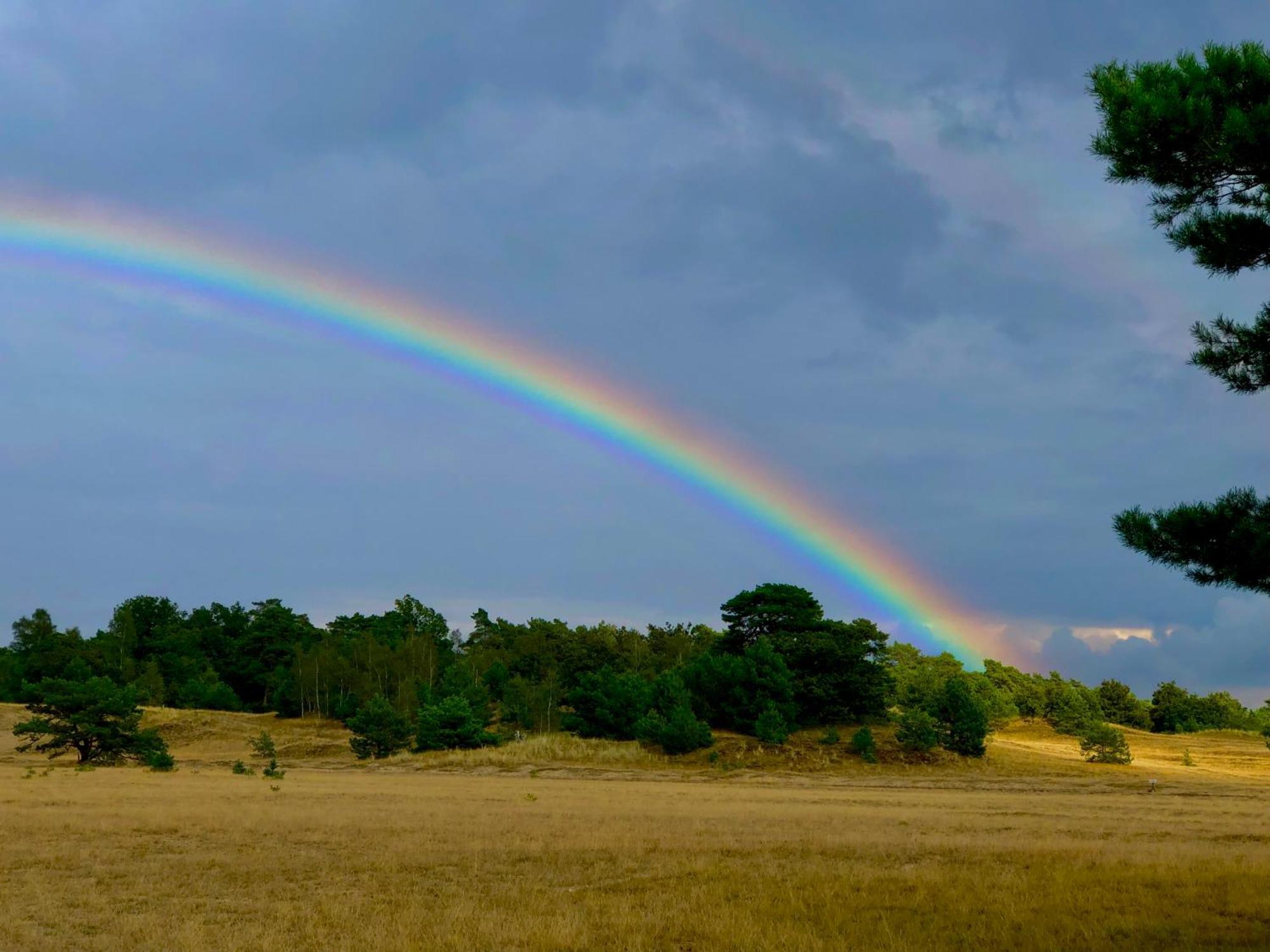 Het Natuurhuisje Op De Veluwe Nunspeet Luaran gambar