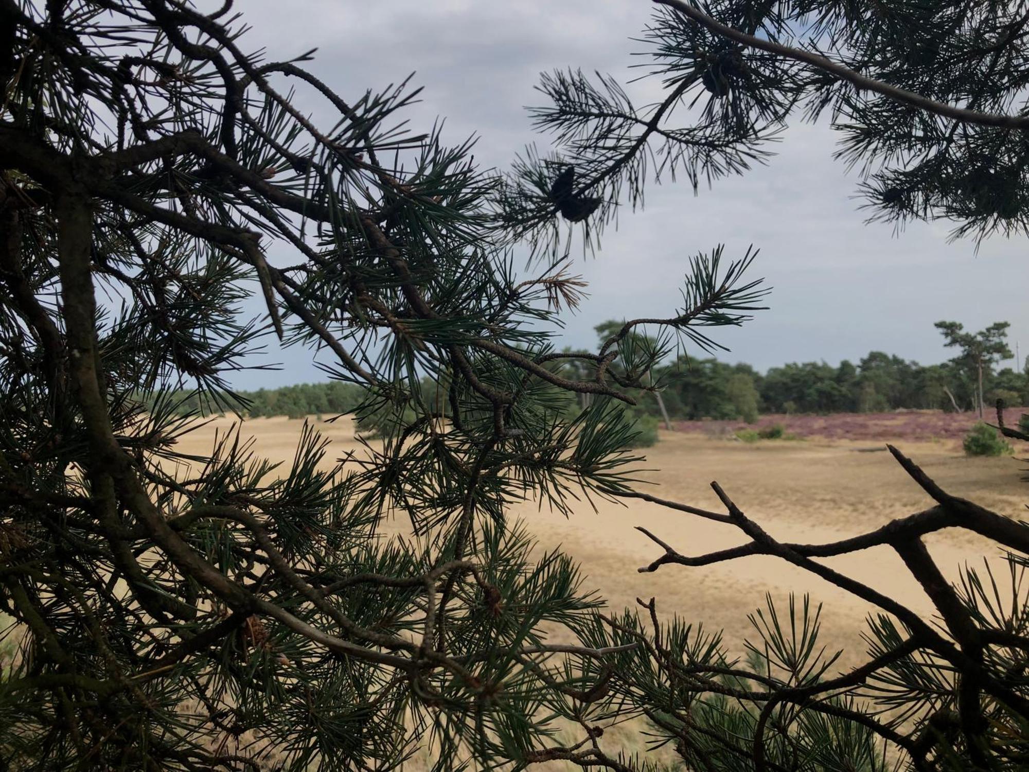 Het Natuurhuisje Op De Veluwe Nunspeet Luaran gambar