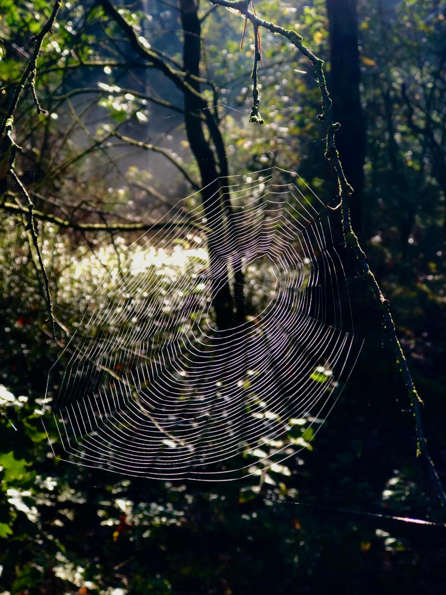 Het Natuurhuisje Op De Veluwe Nunspeet Luaran gambar
