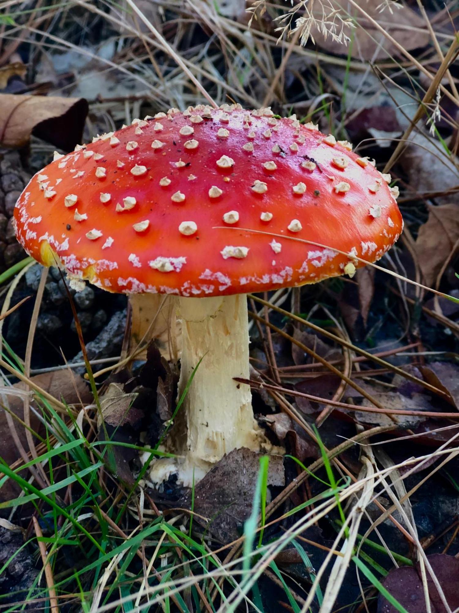 Het Natuurhuisje Op De Veluwe Nunspeet Luaran gambar