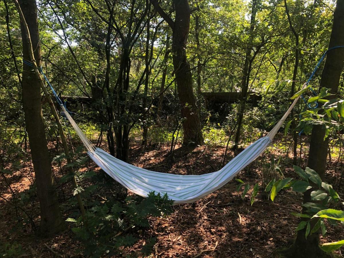 Het Natuurhuisje Op De Veluwe Nunspeet Luaran gambar